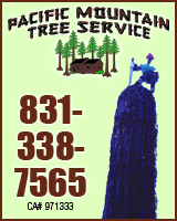 Pacific Mountain Tree Service