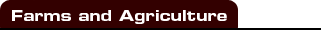 farms and agriculture