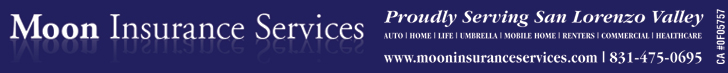 Moon Insurance Services