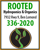 Rooted Hydroponics