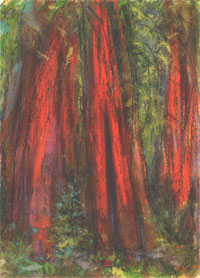 Trees